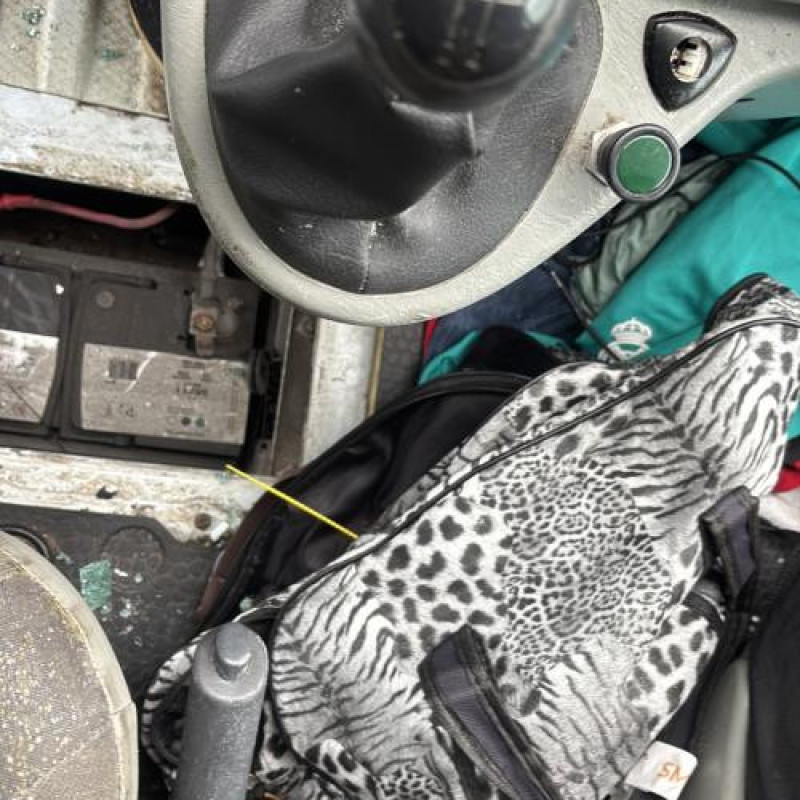 Poignee interieur porte de coffre gauche OPEL VIVARO 1 Photo n°18