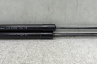 Verin de capot RENAULT MEGANE 4 Photo n°1