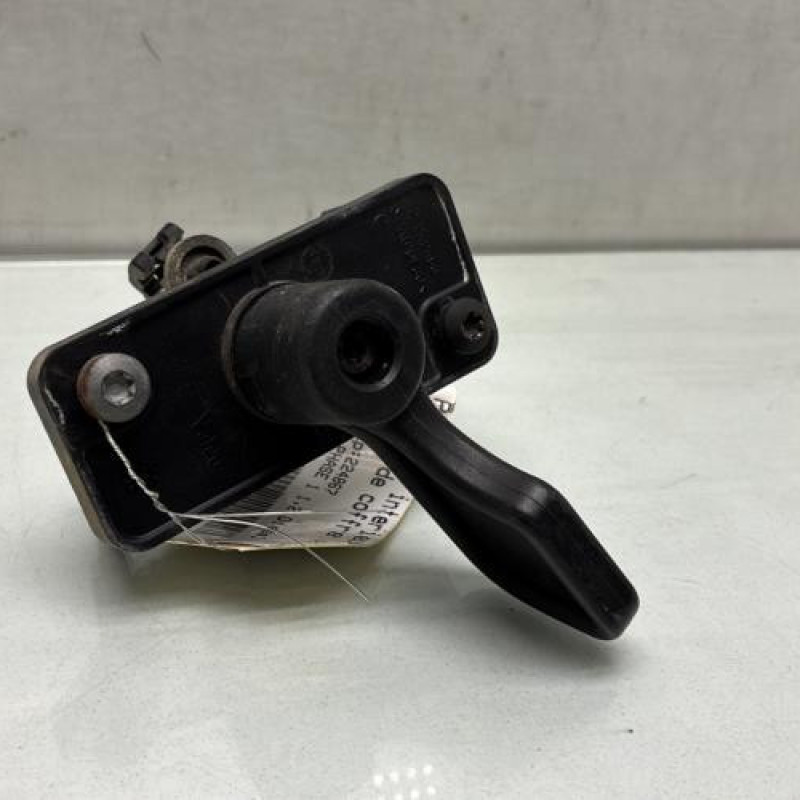 Poignee interieur porte de coffre droite FIAT DOBLO 2 Photo n°1