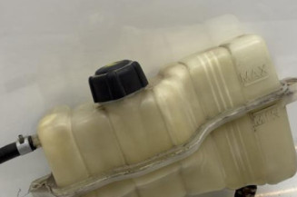 Vase d'expansion NISSAN JUKE 1 Photo n°1