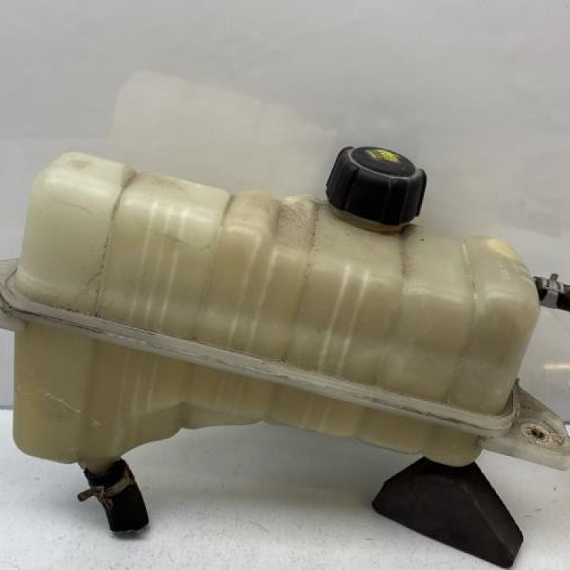 Vase d'expansion NISSAN JUKE 1 Photo n°4