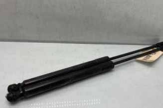 Verin de capot RENAULT MEGANE 4 Photo n°1