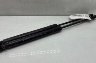 Verin de capot RENAULT MEGANE 4