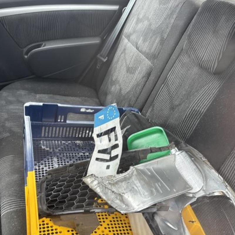 Poignee porte arriere droit DACIA SANDERO 1 Photo n°17