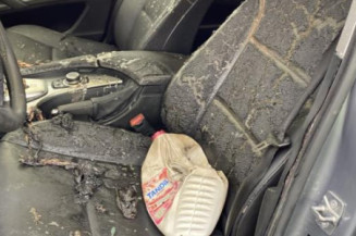 Poignee porte avant gauche BMW SERIE 5 E61