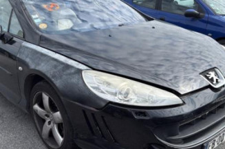 Arret de porte avant gauche PEUGEOT 407