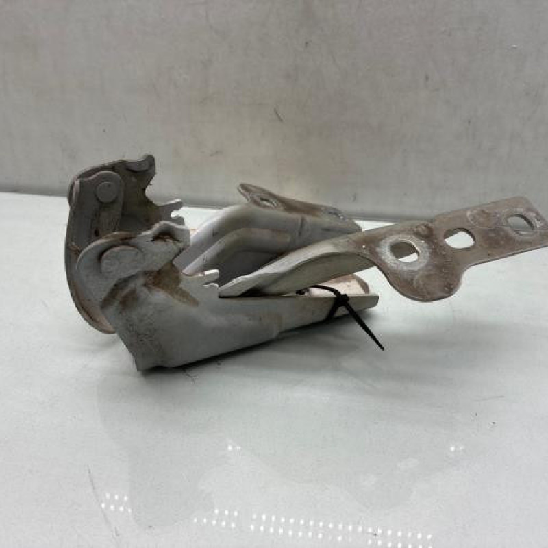 Charniere de capot SEAT IBIZA 4 Photo n°2