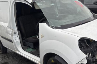 Glace retroviseur gauche RENAULT KANGOO 2