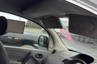 Glace retroviseur gauche RENAULT KANGOO 2