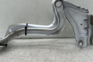 Charniere de capot RENAULT MEGANE 4 Photo n°1