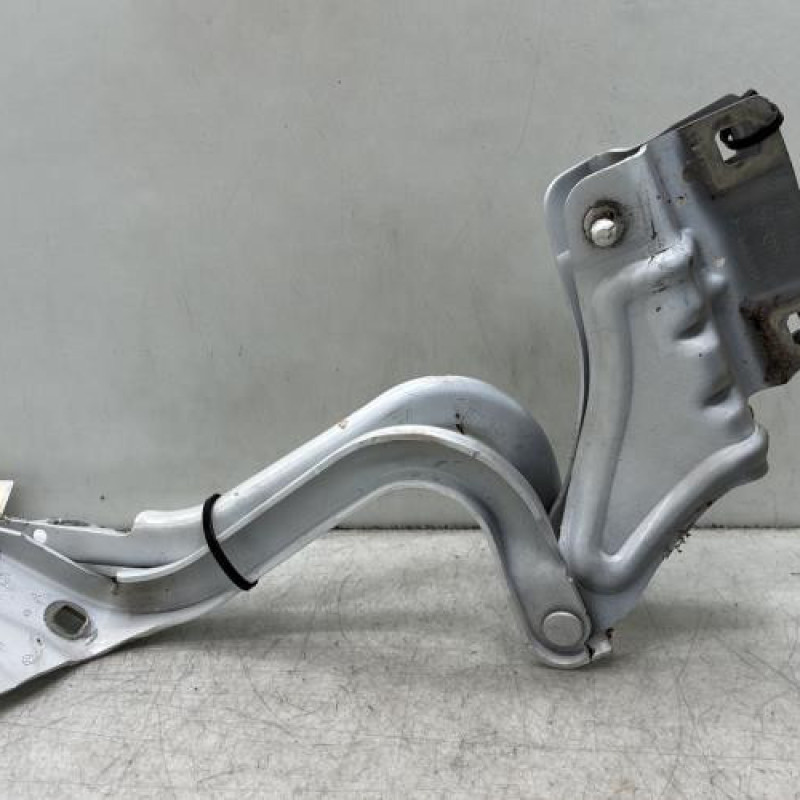 Charniere de capot RENAULT MEGANE 4 Photo n°3