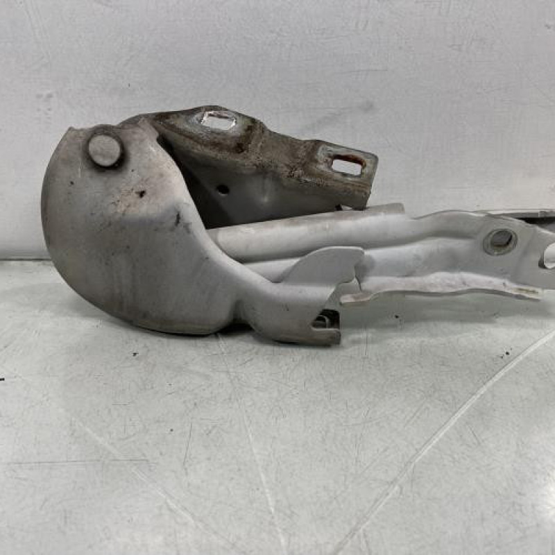 Charniere de capot LANCIA DELTA 3 Photo n°2