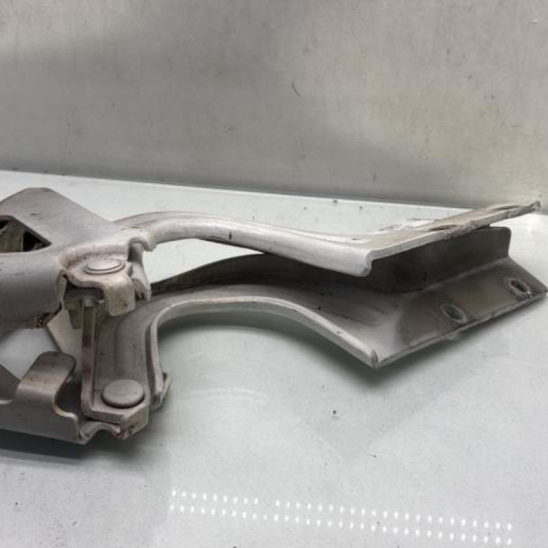 Charniere de capot FIAT DOBLO 2 Photo n°4