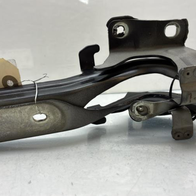 Charniere de capot NISSAN JUKE 1 Photo n°2