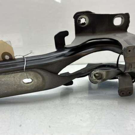 Charniere de capot NISSAN JUKE 1