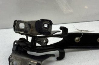 Charniere de capot NISSAN JUKE 1