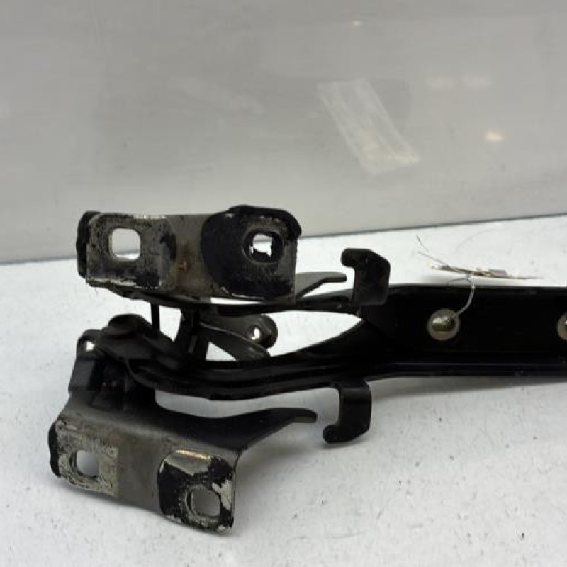 Charniere de capot NISSAN JUKE 1 Photo n°3