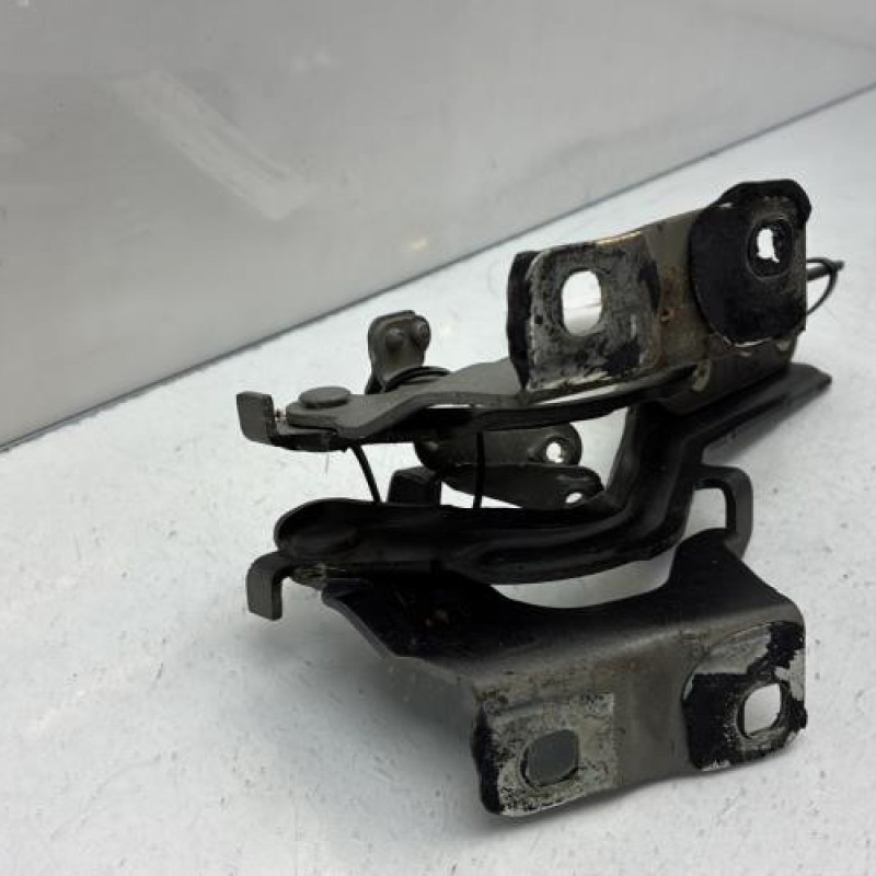 Charniere de capot NISSAN JUKE 1 Photo n°4