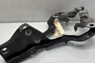 Charniere de capot RENAULT GRAND SCENIC 4 Photo n°1