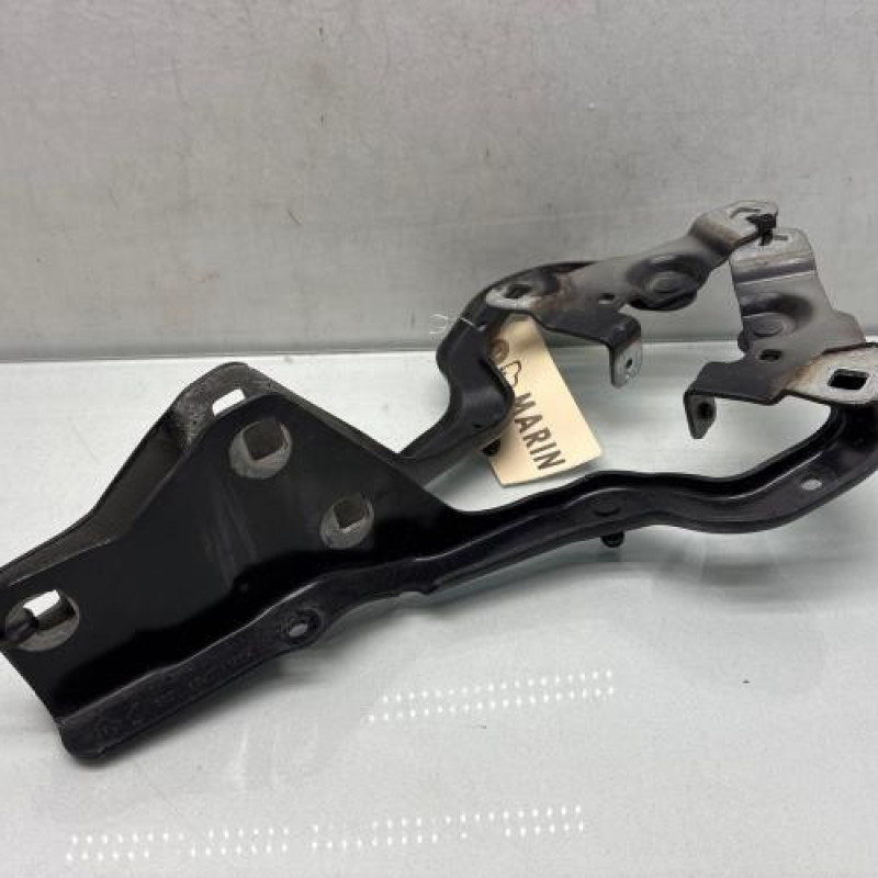 Charniere de capot RENAULT GRAND SCENIC 4 Photo n°1