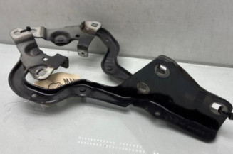 Charniere de capot RENAULT GRAND SCENIC 4