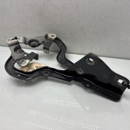 Charniere de capot RENAULT GRAND SCENIC 4