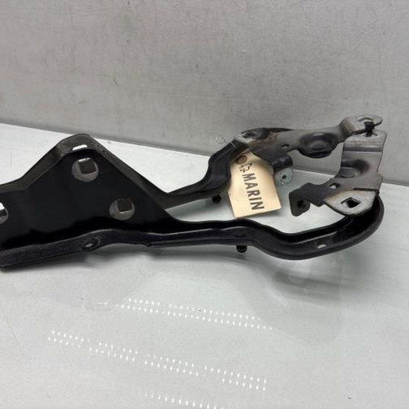 Charniere de capot RENAULT GRAND SCENIC 4 Photo n°3