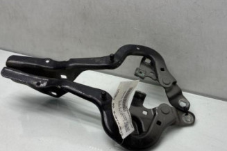 Charniere de capot RENAULT GRAND SCENIC 4