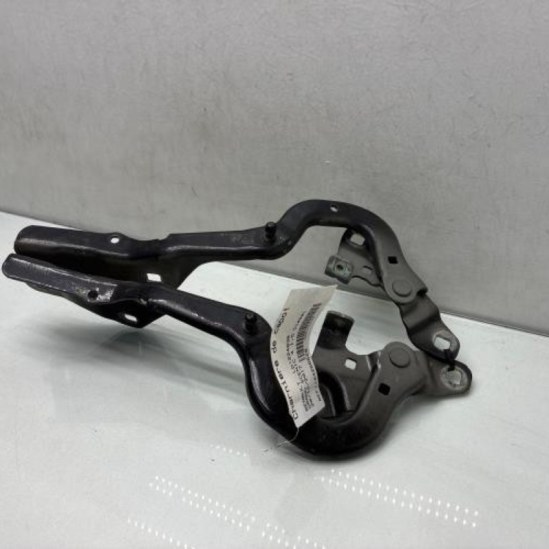 Charniere de capot RENAULT GRAND SCENIC 4 Photo n°4