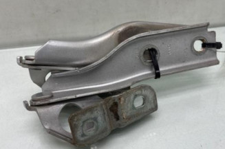 Charniere de capot AUDI A3 2 Photo n°1