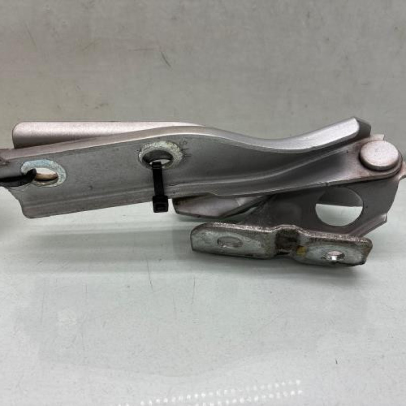 Charniere de capot AUDI A3 2 Photo n°2