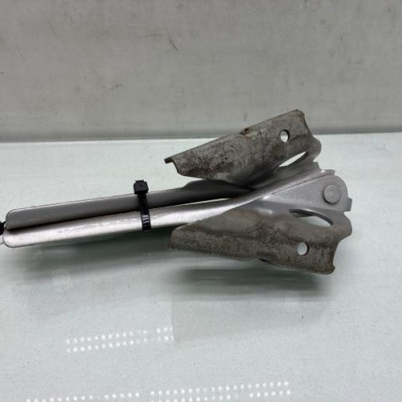 Charniere de capot AUDI A3 2 Photo n°3