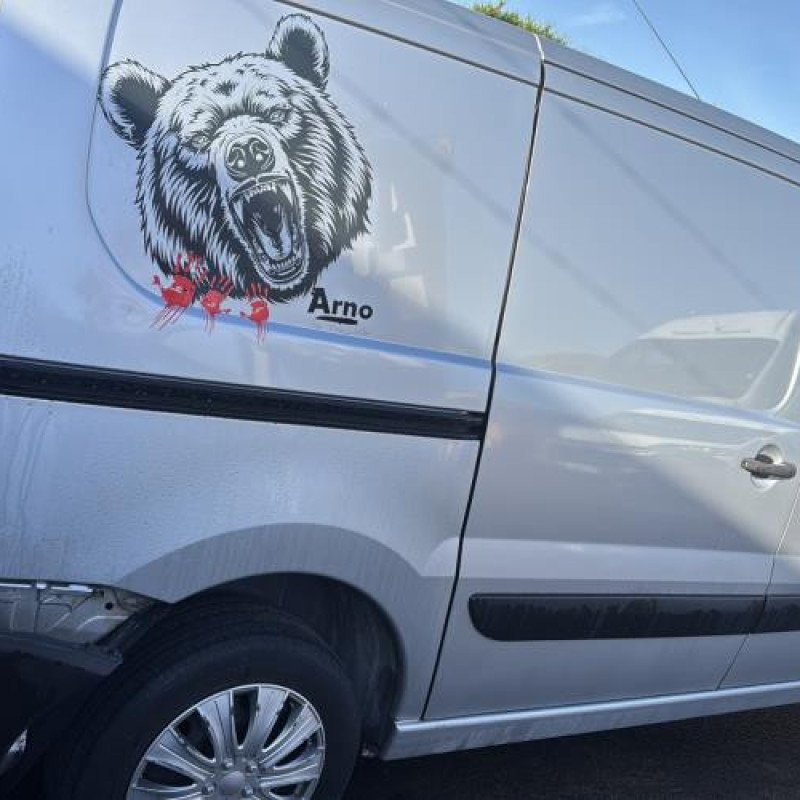 Eclairage de plaque PEUGEOT EXPERT 2 Photo n°13