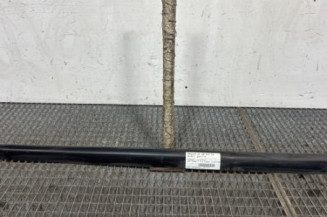 Baguette de porte avant gauche PEUGEOT 207 Photo n°1