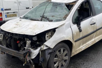 Baguette de porte avant gauche PEUGEOT 207