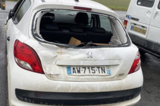 Baguette de porte avant gauche PEUGEOT 207