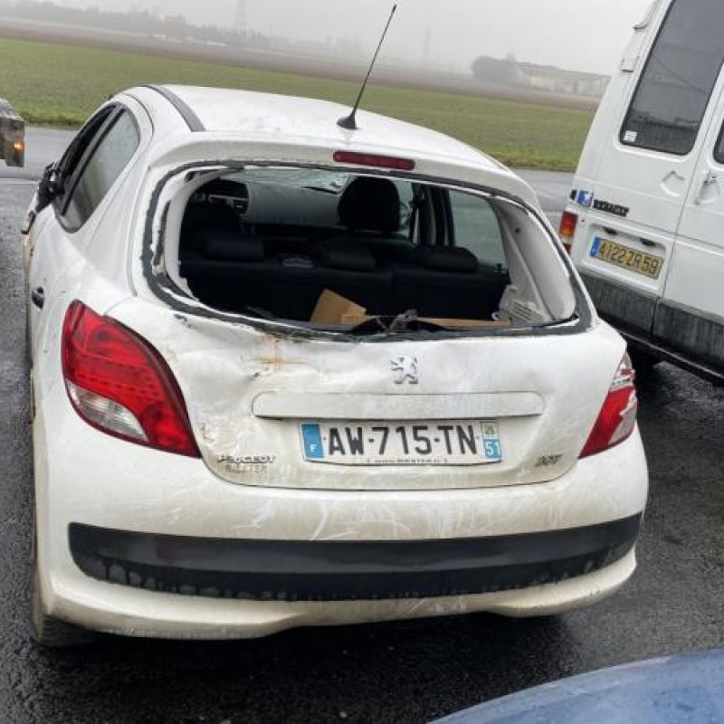 Baguette de porte avant gauche PEUGEOT 207 Photo n°9