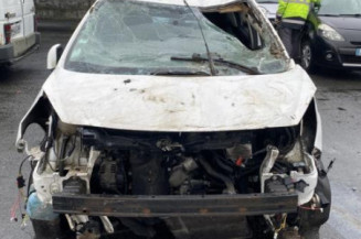 Baguette de porte avant gauche PEUGEOT 207