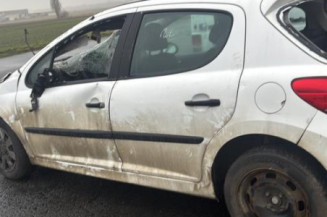 Baguette de porte avant gauche PEUGEOT 207