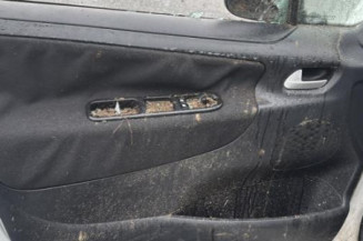 Baguette de porte avant gauche PEUGEOT 207