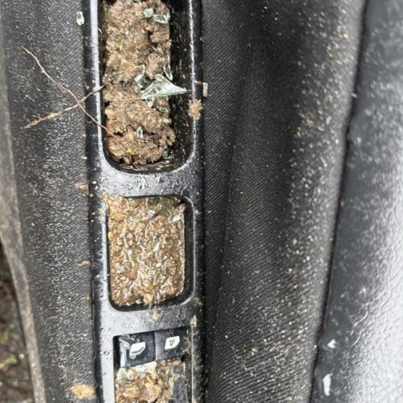 Baguette de porte avant gauche PEUGEOT 207 Photo n°16