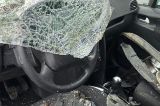 Baguette de porte avant gauche PEUGEOT 207