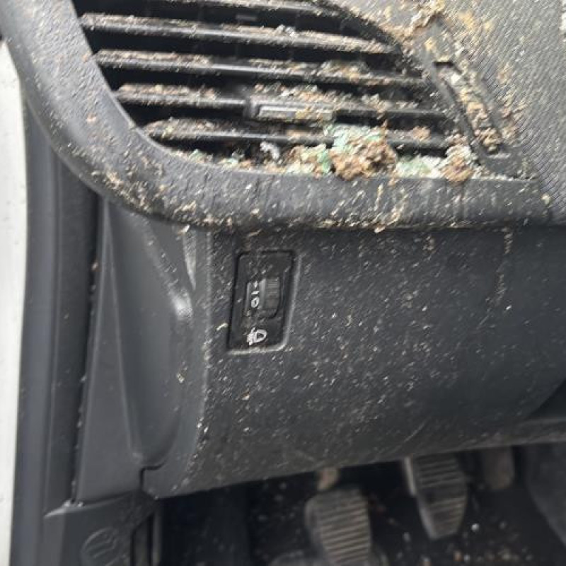 Baguette de porte avant gauche PEUGEOT 207 Photo n°20