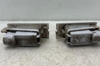 Eclairage de plaque RENAULT CLIO 3