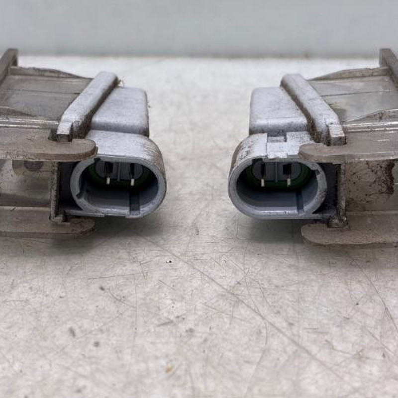 Eclairage de plaque RENAULT CLIO 3 Photo n°3