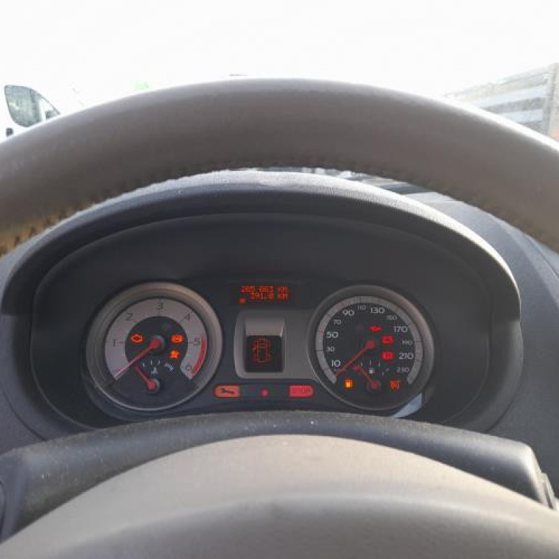 Eclairage de plaque RENAULT CLIO 3 Photo n°13