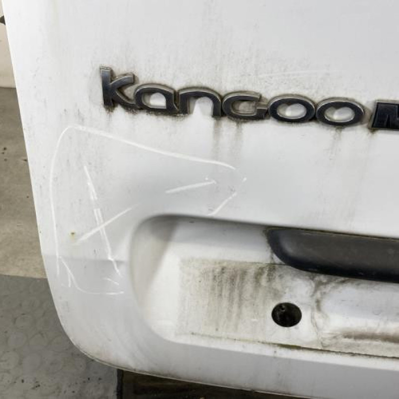 Porte de coffre gauche RENAULT KANGOO 2 Photo n°3