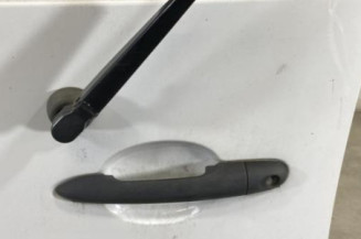 Porte de coffre gauche RENAULT KANGOO 2