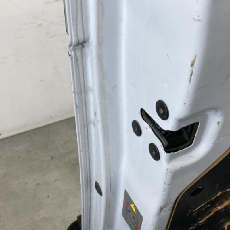 Porte de coffre gauche RENAULT KANGOO 2 Photo n°6