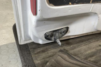Porte de coffre gauche RENAULT KANGOO 2